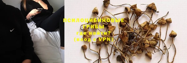 спайс Алексин