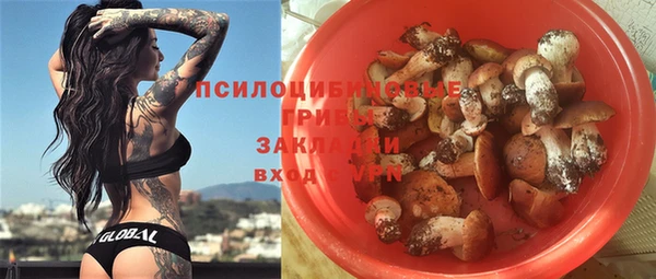 гидропоника Иноземцево