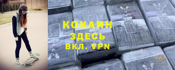 спайс Алексин